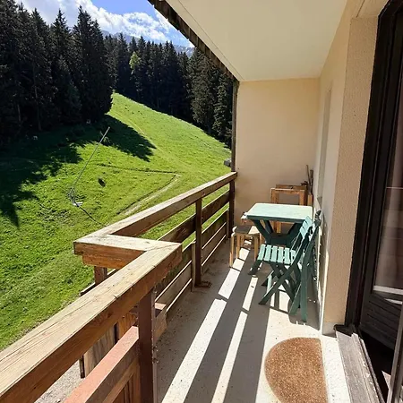 Appartement Au Pied Des Pistes, 2 Pièces - Fr-1-557-47 *